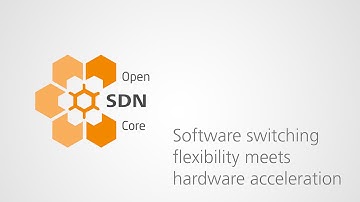 Software Switching Flexibility Meets Hardware Acceleration