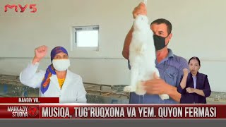 Musiqa, tug'ruqxona va yem,  Quyon fermasi