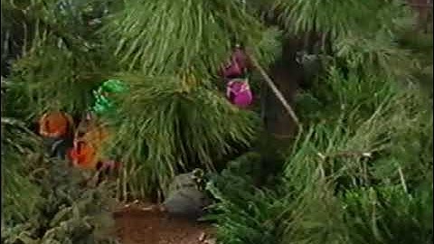 Camp WannaRunnaRound (All Versions) Part 58