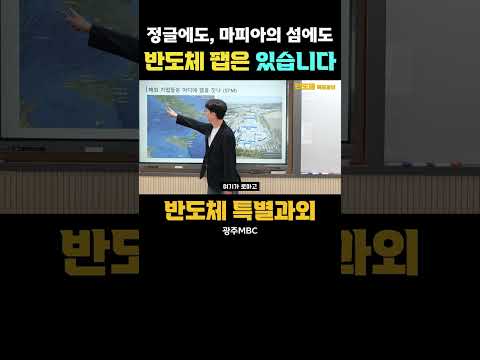 정글에도 마피아의 섬에도