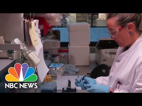 Watch Full Coronavirus Coverage – April 29 | NBC News Now (Live Stream)