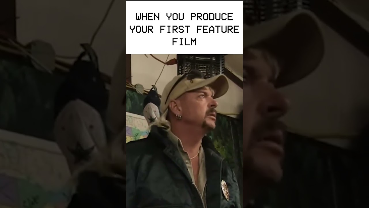 Tiger King - Arthauz #capitalraising #funny #memes #raisingfunds #fundraising #film