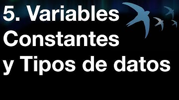 5  Variables Constantes y Tipos de datos
