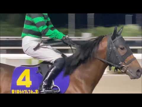 プリフロオールイン・高知・ネクストスター高知重賞 2023年10月29日 YouTube