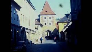 TCHECOSLOVAQUIE - CESKOSLOVENSKO 1981