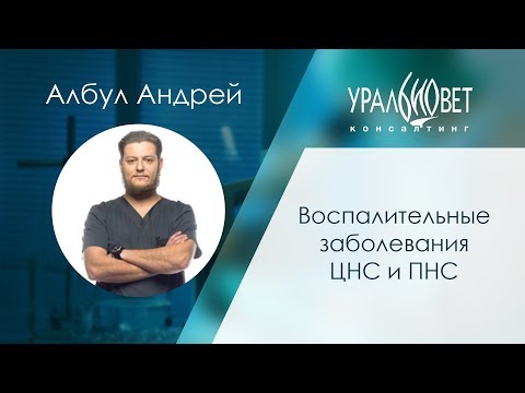 Видео: Воспаление головного и спинного мозга у собак