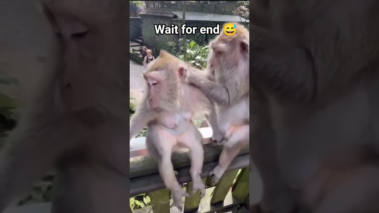 support me all guys 😅 