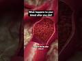 What happens to your blood after you die? #shorts #blood #spooky #skeleton #anatomy