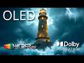 OLED Magic That Feels Alive – HDR Demo in Pure 4K Dolby Vision (4K 8K TV)