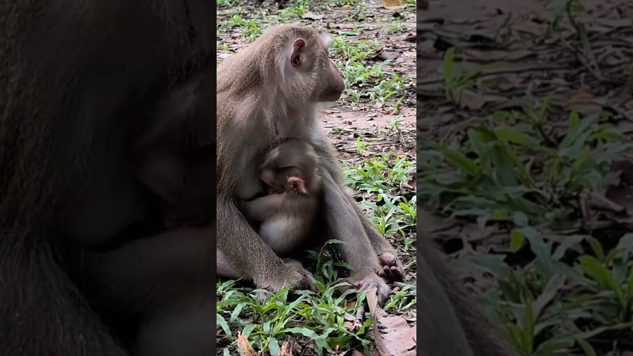 Nap Time Nurture 😴#19 