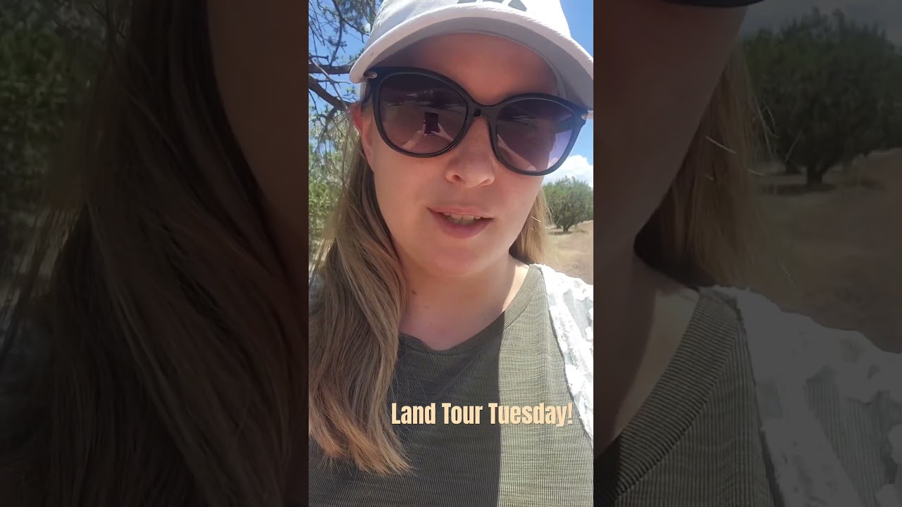 Looking for land in northern AZ? How about this acreage in 