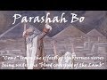 #15 - Torah Parashah Bo (Come)