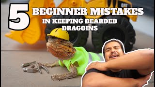 5 Bearded Dragon Care Mistakes! You