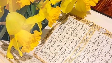سورة العلق سورة القدر سورة البينة سورة الزلزلة سورة العاديات بصوت القارئ عادل الطيبي