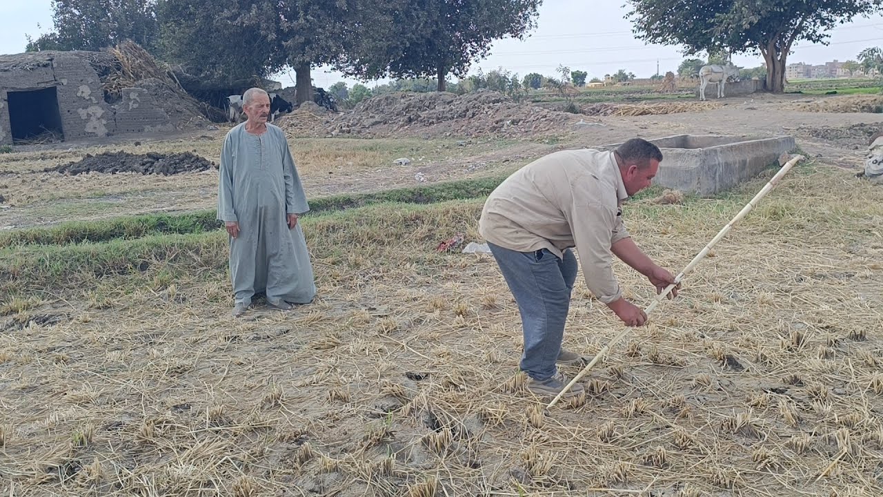 طريقة حساب مساحة الارض الزراعيه مع الحاج مصطفي الحر والحاج محمد الفنان