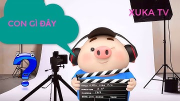 Con heo đất | Con lợn éc | Con lợn rừng | Dạy Bé Học Nói Tên Các Con Vật | The pig