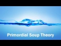 Primordial soup theory