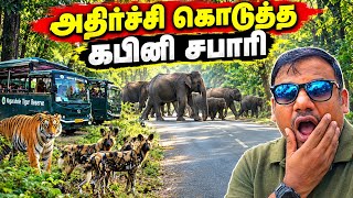 😱 அதிர்ச்சி கொடுத்த கபினி சபாரி | Kabini Safari Batch 2 🐅| Jolly Trip