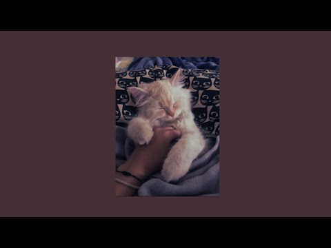 Songs that feel like a warm hug after a long day (●´ω｀●)ゞ♪