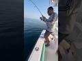 رحلات صيد سمك في راس الخيمة مع كابتن عزيز fishing trip in Ras Al khaimah withcap aziz +971502770318