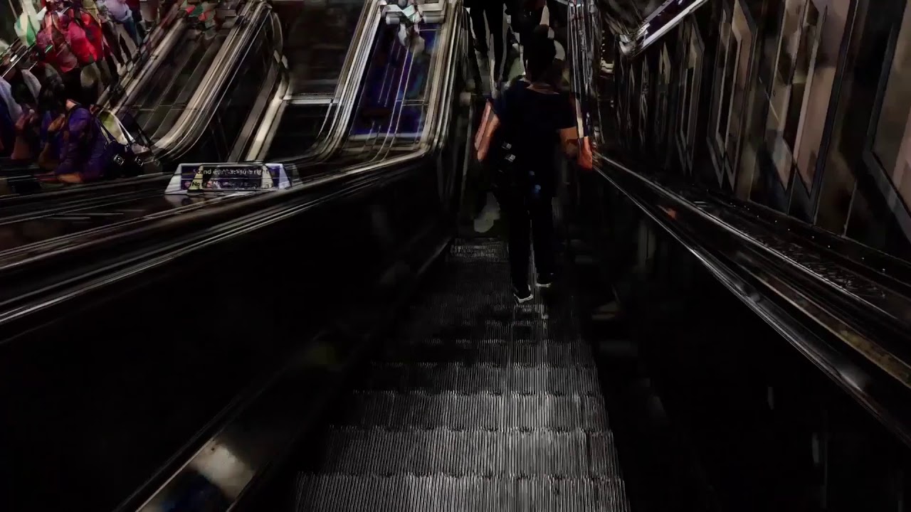 Escalator - a short film by Cate Field