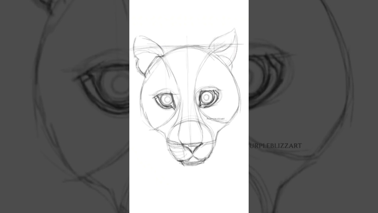 Big Cat drawing - Sketch 