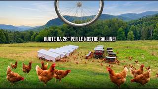 300 GALLINE al pascolo: come SPOSTARLE ogni giorno in 5 MINUTI