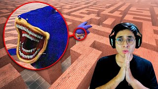 Estoy ATRAPADO en un LABERINTO junto a SONIC TAPES screenshot 4