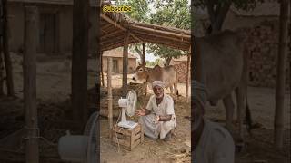 गाय को ठंडी हवा 😱 देसी जुगाडdesijugaad #cow #animalcare #innovation #villagelife