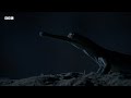 Dark of Night Conceals One of India's Strangest Inhabitants | Hidden India | BBC Earth