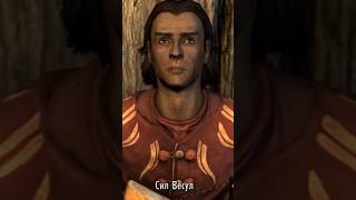 Пасхалка Сила Весула из Скайрима. #mrcatgame #skyrim #tes #theelderscrolls #древниесвитки