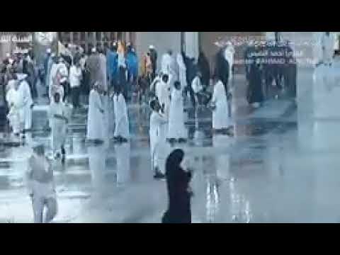 شركه بروتوكول للسياحه للحج والعمرة المحله الكبرى ميدان الشون أمام العياده الشعبيه