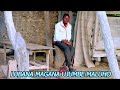 LUBANA MAGANA MALUHO LUBANA MAGANA MALUHO