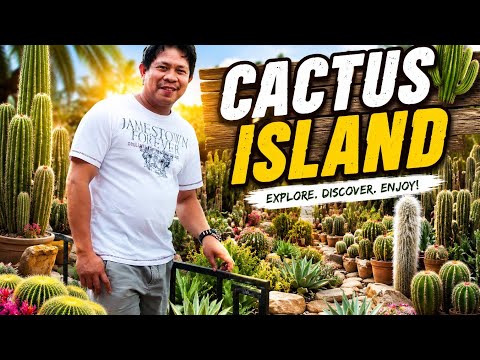 🌵 WOW! Ang Daming Iba’t Ibang Cactus sa Cactus Island! | Cactus Lovers, Tara!
