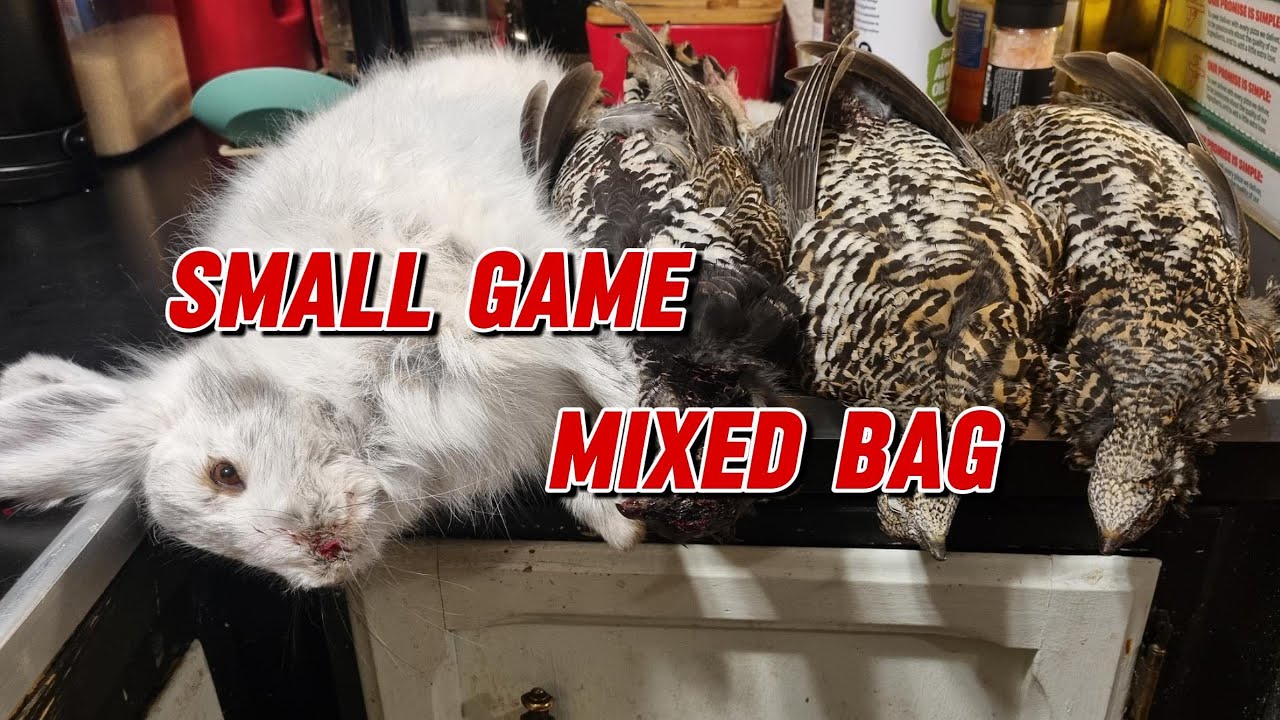 Hunting Grouse in Alaska 