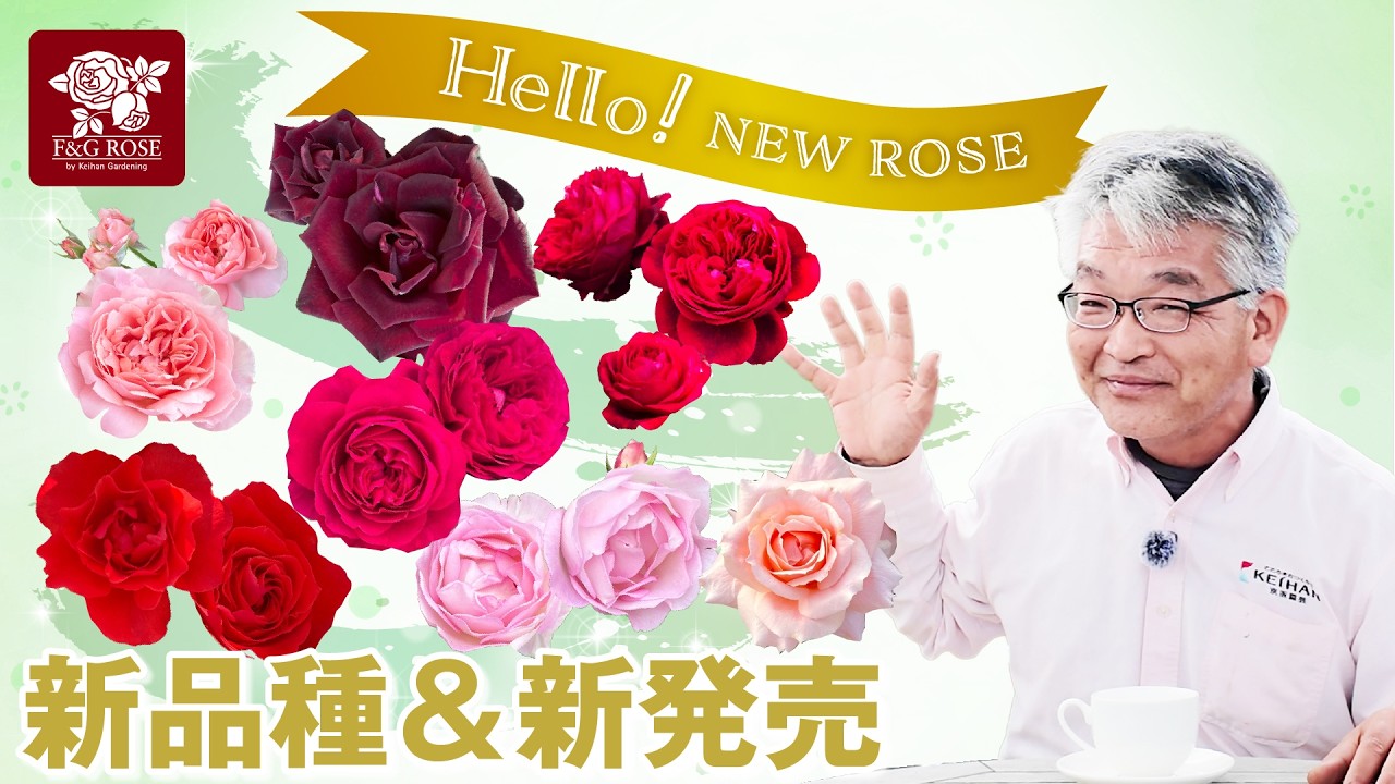 New Variety Introduction] Seven new varieties this year
