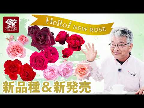 New Variety Introduction] Seven new varieties this year