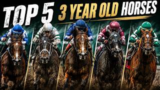 Top 5 Three-Year-Old Horses Right Now | Updated 2026 Rankings