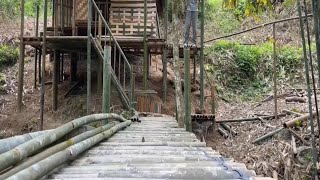 Starting A Life Alone In The Deep Forest... 🌲🥺 Moving Into My Hand-Built Shelter