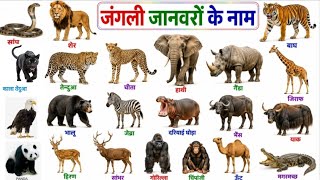 30 Wild Animals Name In English And Hindi For Kids Learning Video with sound | जंगली जानवरों के नाम।