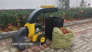 Baiyi-T2 5.5HP Petrol Outdoor Wheeled Leaf Vacuum