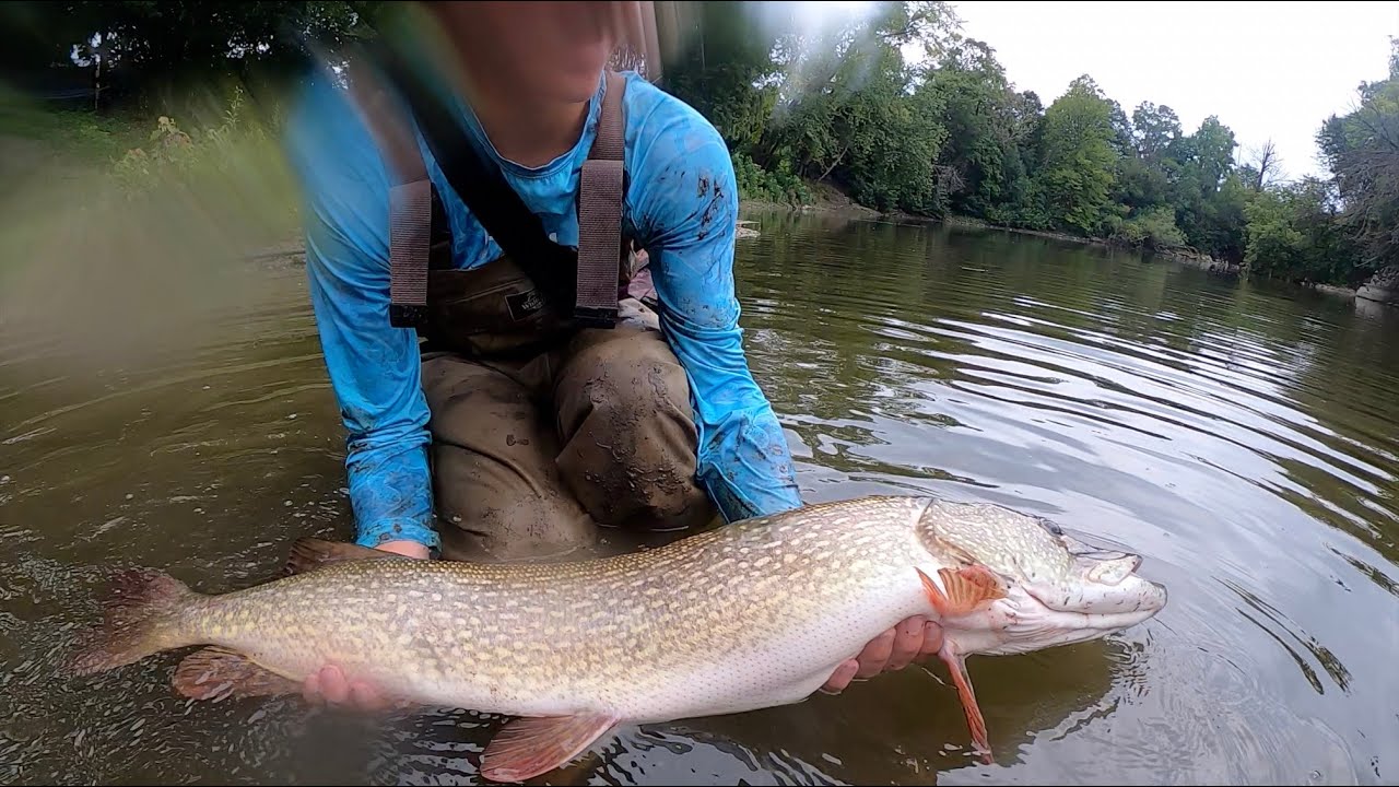 Northern Pike Fishing - A Muddy River Monster Hunt