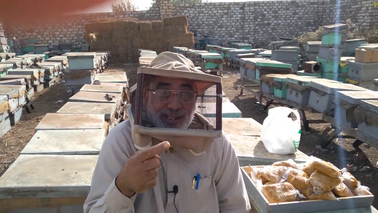 🐝:سلسلات الميثايل وأهميته لنحل العسل *