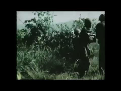 The Black Angels - First Vietnamese War