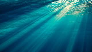 Beautiful Underwater Free Background Videos, Motion Graphics, No Copyright | All Background Videos