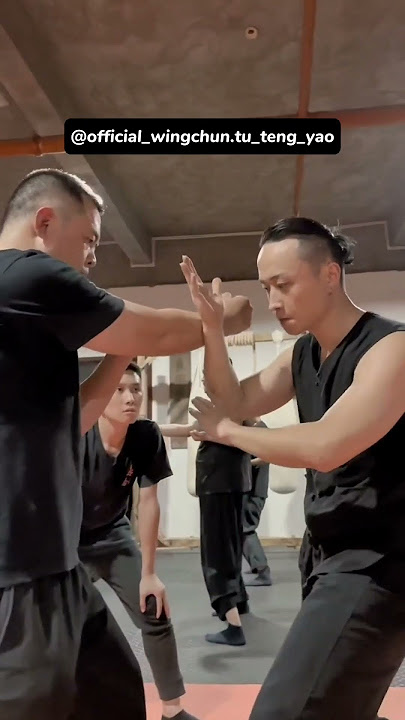Perfecting 'Lan Sao': Overcoming the Challenges of Wing Chun's Elbow Technique - Master Tu Tengyao