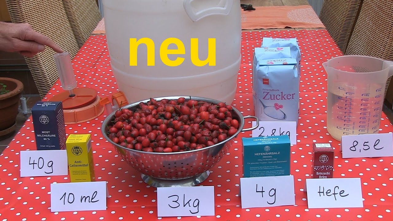 Hagebuttenwein selber machen mit 10 L Rezept - auch für ...