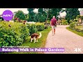 Relaxing Walk In Karlsruhe Palace Gardens Lake Geese Peaceful Nature