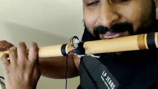 Thaniye Mizhikal (Flute Cover Unplugged)