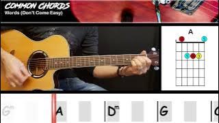 Words (Don't Come Easy) - FR David | GUITAR LESSON | Common Chords